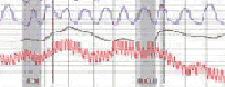 polygraph in Sonoma County